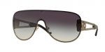 více - Sluneční brýle Versace VE2166 12528G